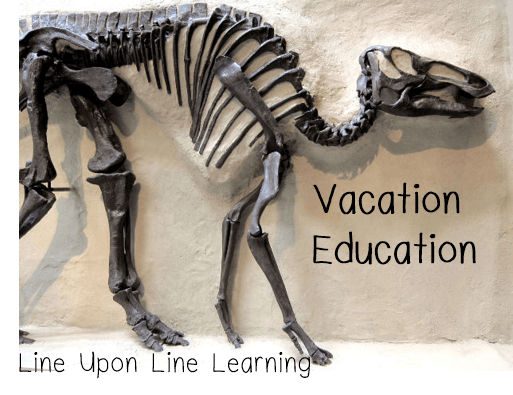 vacation education