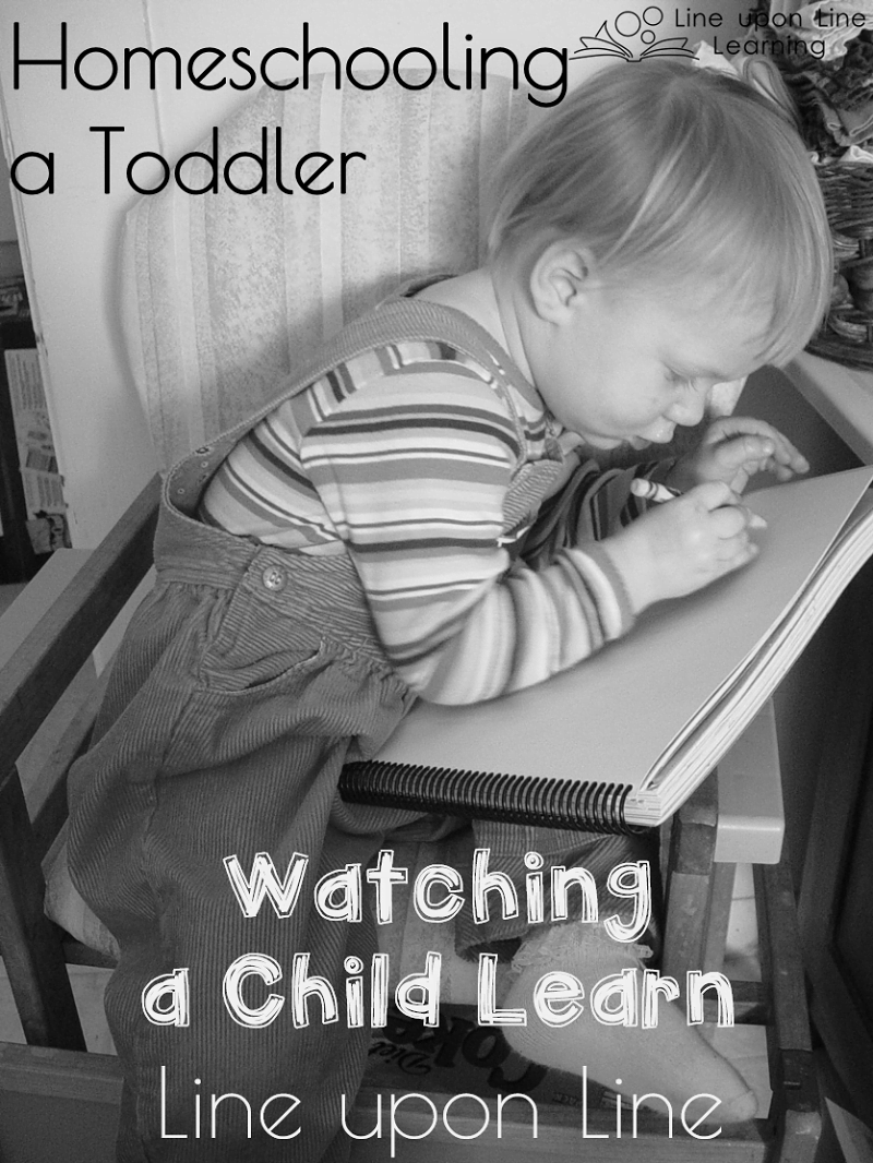 Children learn one step at a time. At the youngest ages, we can almost see them learning from minute to minute! Take a moment to watch your child learn, line upon line.