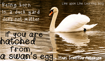 swans egg
