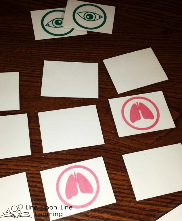 Body Parts Matching Game