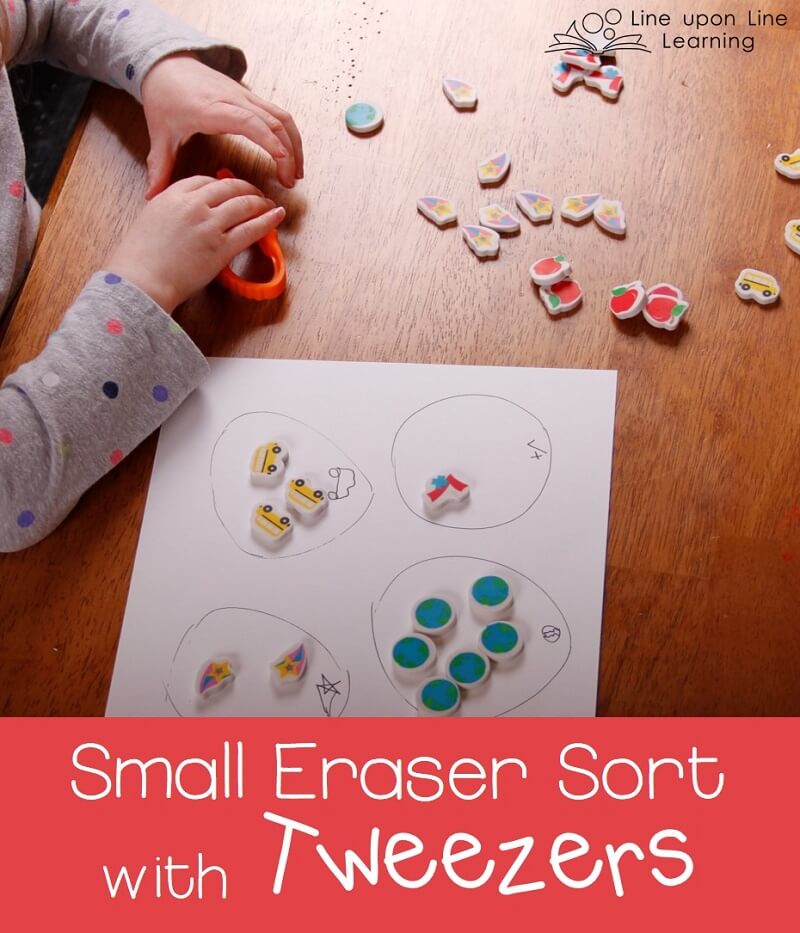 Using tweezers, my preschooler practiced sorting and counting small erasers.