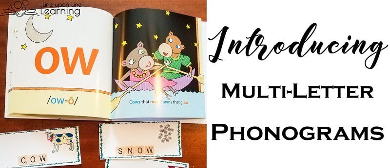 The picture book Whistling Whales from the Logic of English Foundations program introduces the sounds of multi-letter phonograms in a memorable way.