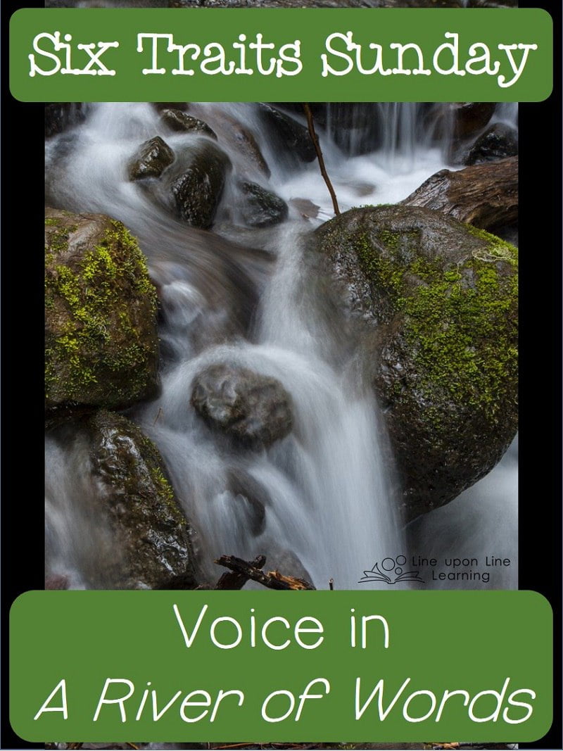 201307 River of words voice