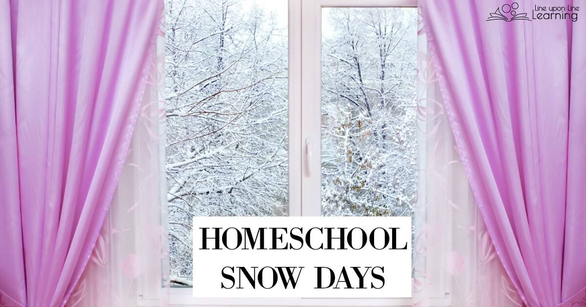 For our family in our homeschool a dreary weather day turns in to a homeschool snow day! That means it's family activity time.