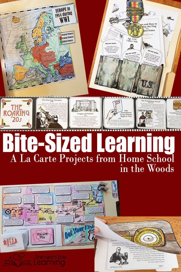 The A La Carte Store gives me a choice of lap books, notebooking projects, timelines, and file folder games for American history, world history and more. I am so excited to have discovered this resource.
