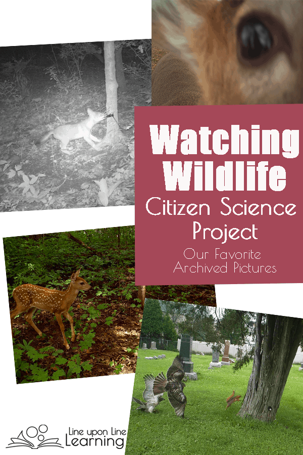 oining in an actual research project as a "citizen scientist" has made science feel more pertinent on a daily basis.