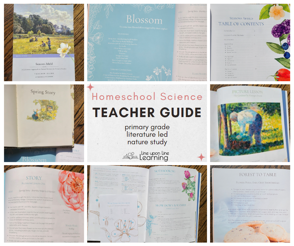 Seasons Afield, a primary-grade homeschool science curriculum from Beautiful Feet Books, uses picture books as a guide for natural science lessons that engage and teach.