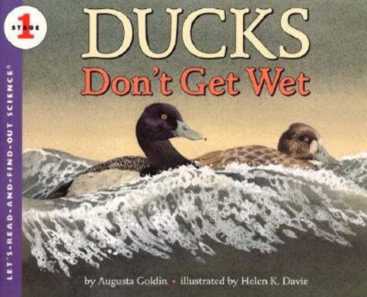ducks don't get wet