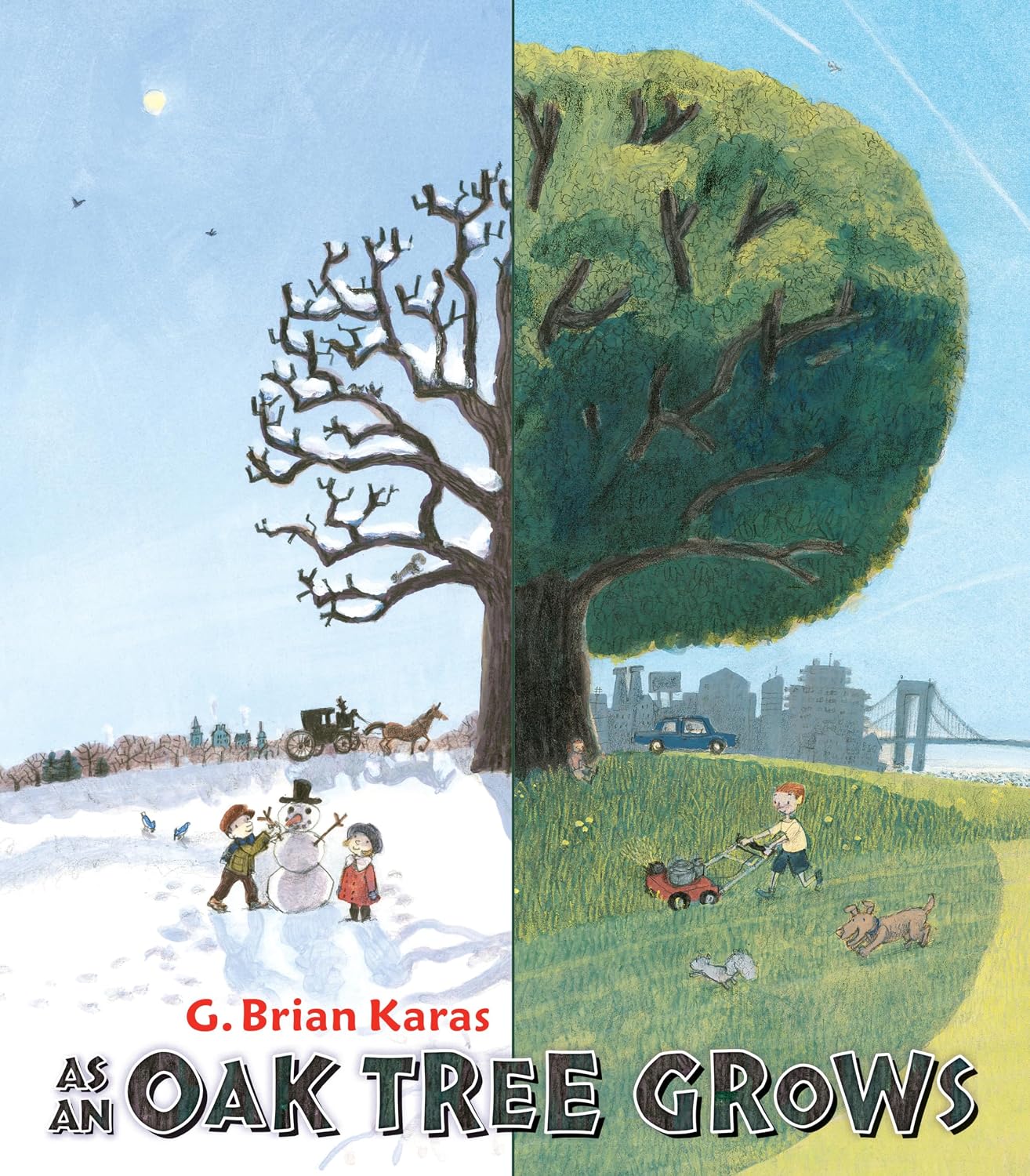 an oak tree grows
